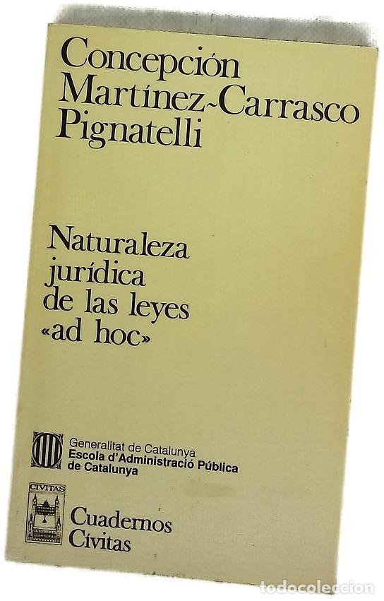 Libros: Naturaleza jur&iacute;dica de las leyes &rdquo;ad hoc&rdquo;