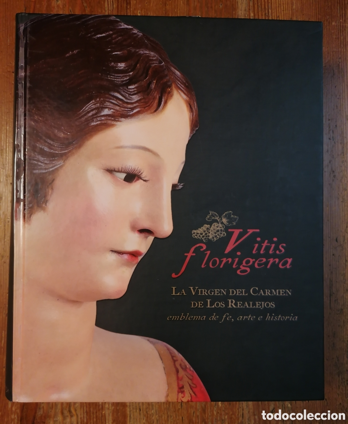 B&uuml;cher: VITIS FLORIGERA - La Virgen del Carmen de los Realejos, emblema de fe, arte e historia.