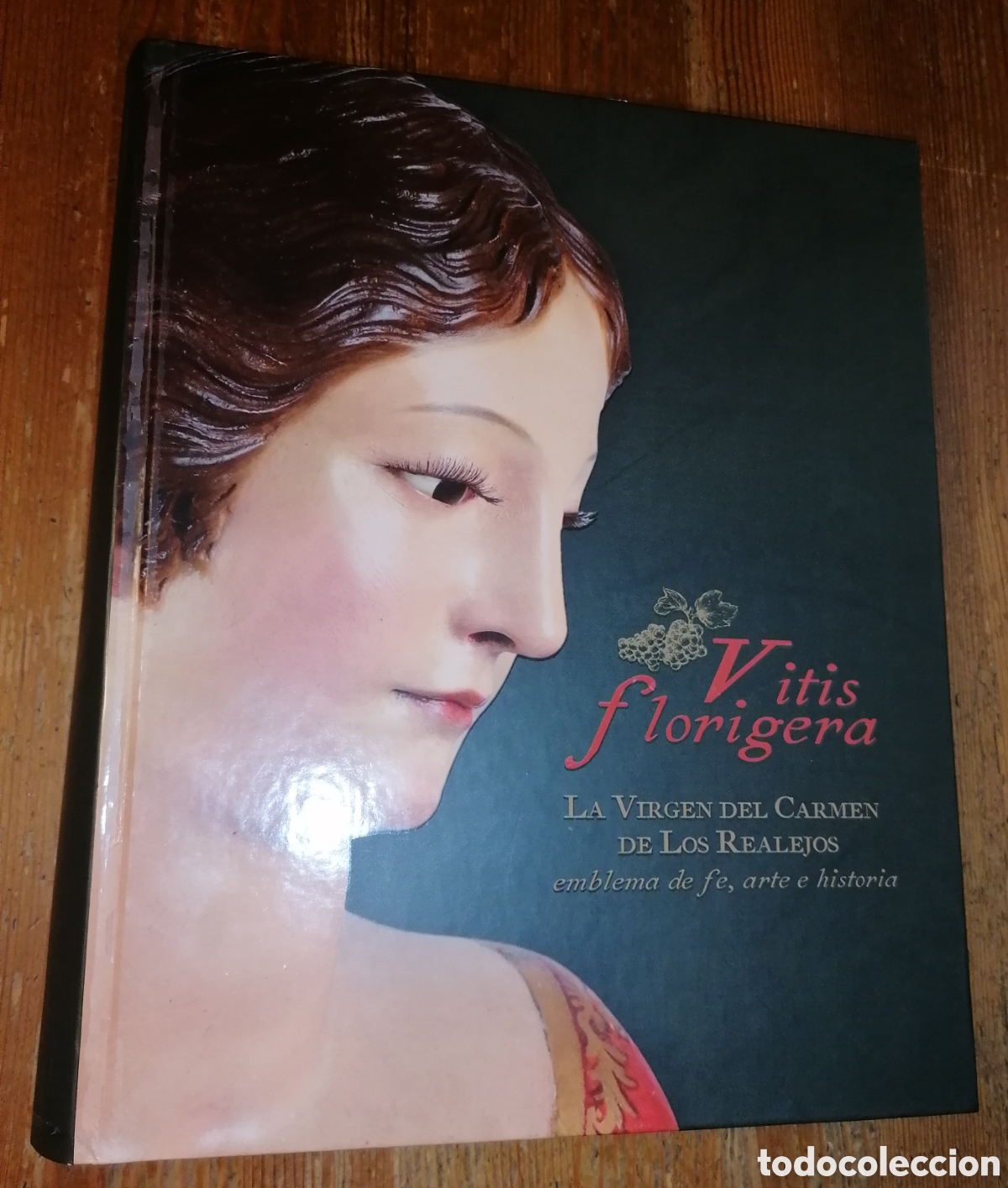 Libros: VITIS FLORIGERA - La Virgen del Carmen de los Realejos, emblema de fe, arte e historia.