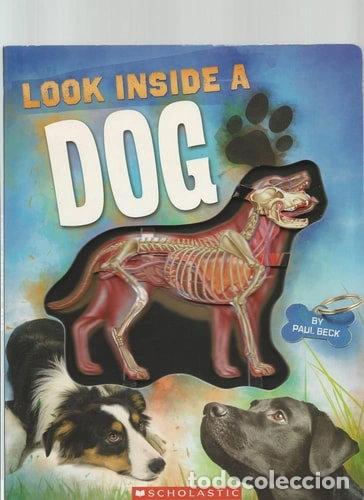 Livres: Look Inside a Dog- 9780545264884