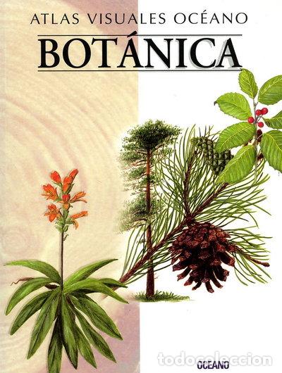 Libri di seconda mano: Atlas Visual Bot&aacute;nica- 9788449412790