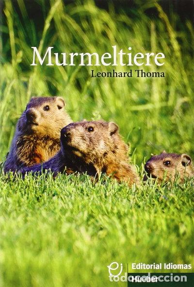 Libros: Murmeltiere- 9788481410464 - Foto 1