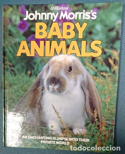 Libros: Johnny Morris's Baby Animals- 9780906320549