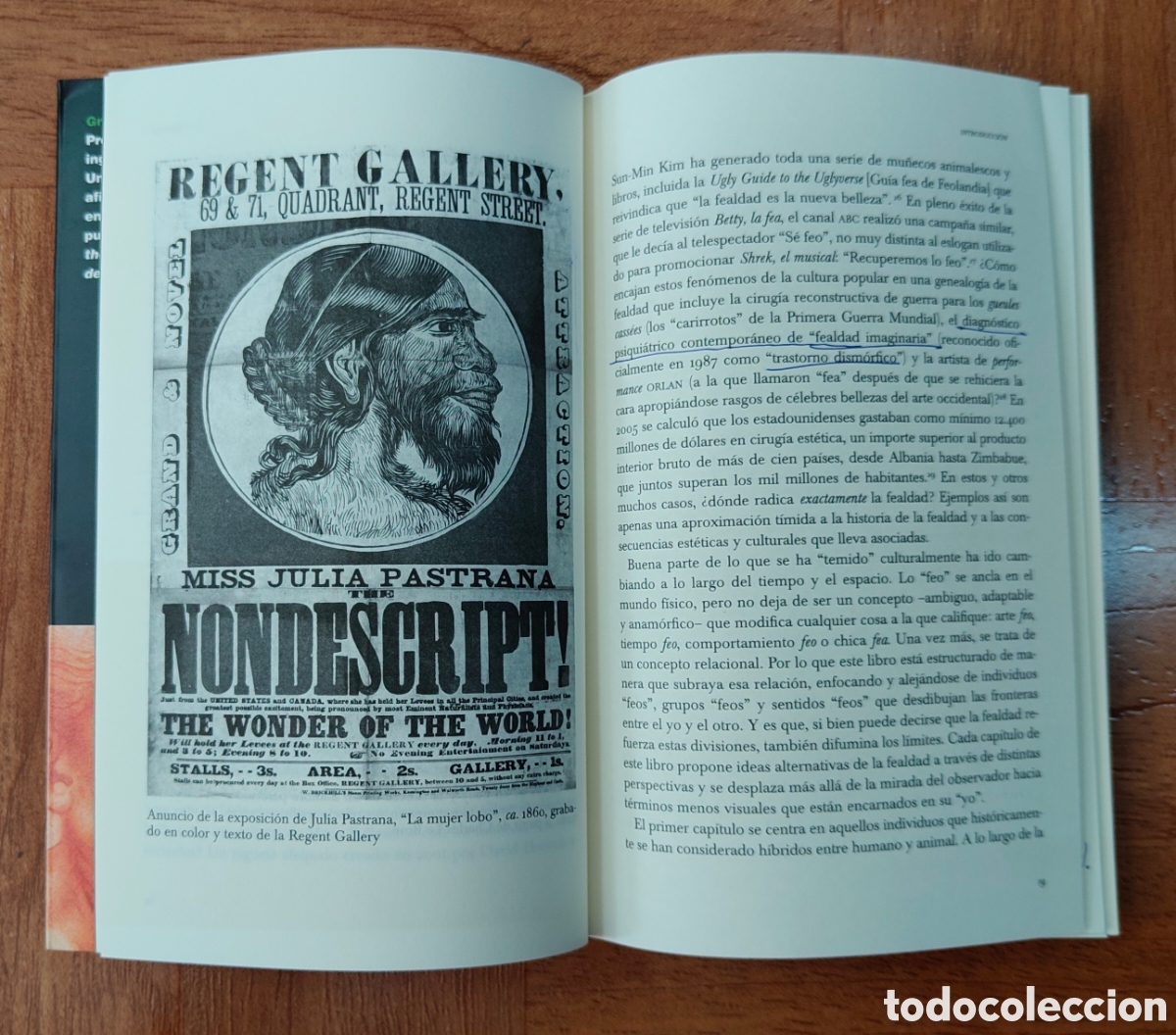 Libros: Fealdad: Una Historia Cultural - Gretchen E. Henderson - Foto 4