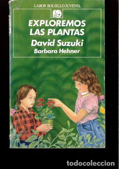 Libros: Exploremos las plantas- 9788433584939 - Foto 1