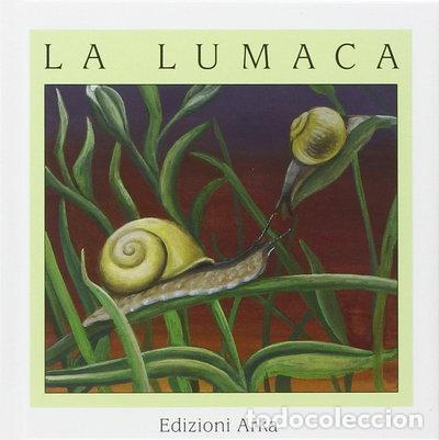 Libros: La lumaca- 9788880721284