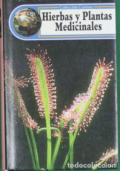 Libros: Hierbas y plantas medicinales- 9788495002341