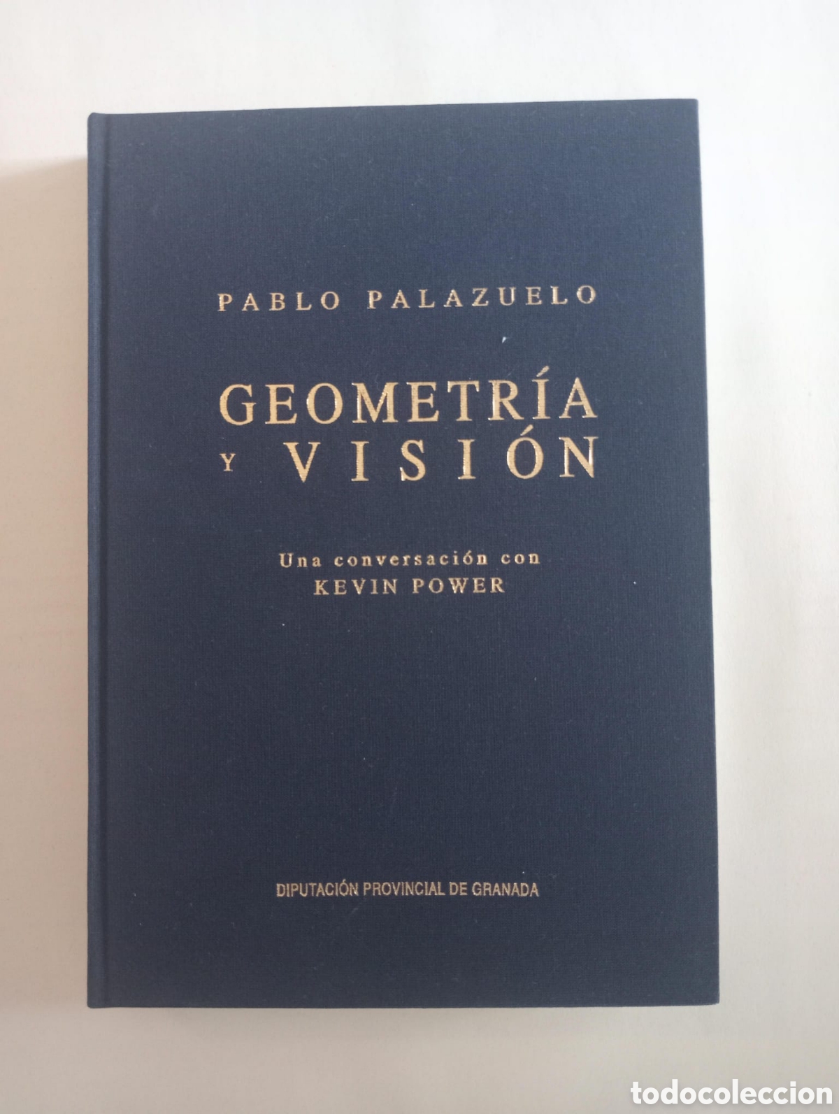 Libros: Pablo palazuelo. Geometr&iacute;a y visi&oacute;n, una conversaci&oacute;n con Kevin Power