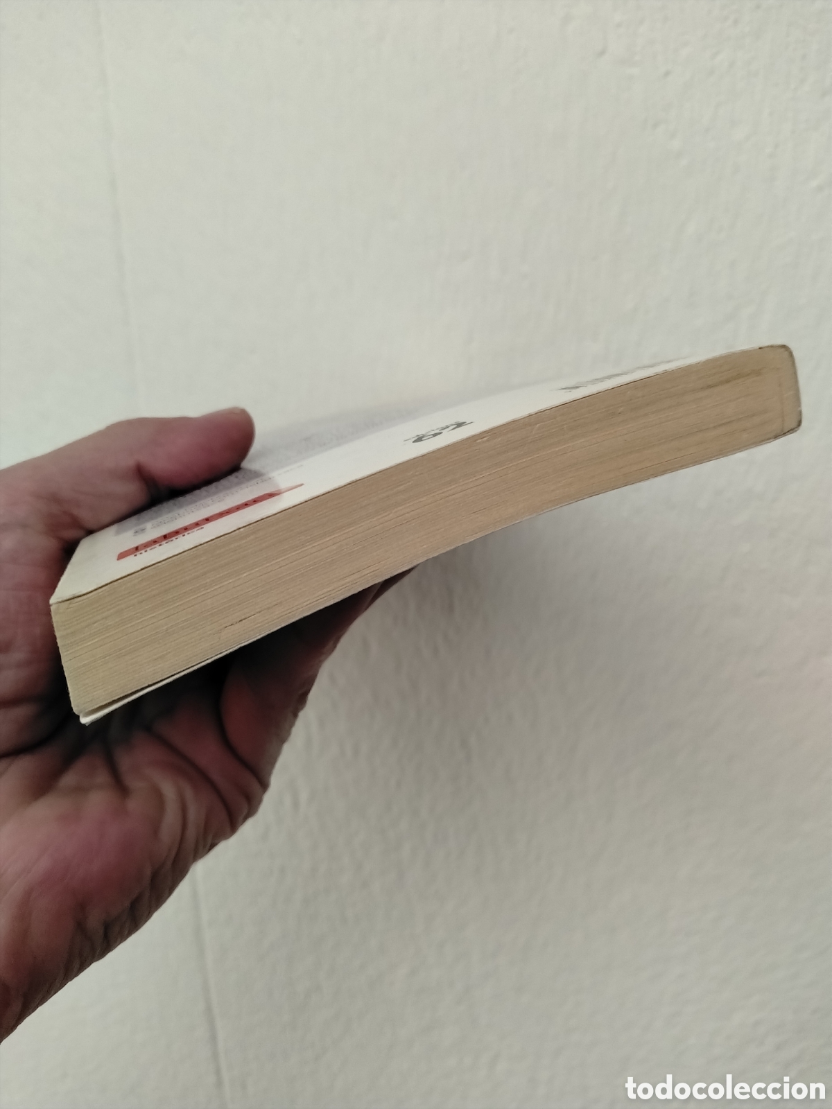 Libros: LES DONES S&Agrave;VIES DE LA MUNTANYA - DAVID MART&Iacute; - Foto 3