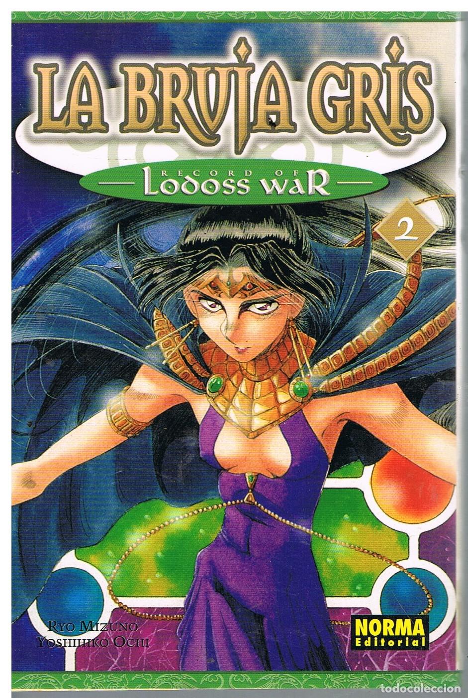 Libros: La Bruja Gris n&ordm; 2 - fLodoss War.