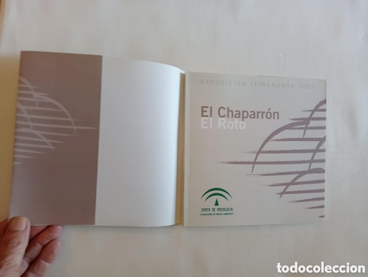 Libros: El chaparr&oacute;n / El Roto. Andr&eacute;s R&aacute;bago - Foto 2