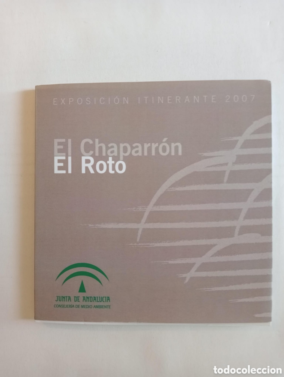 Libros: El chaparr&oacute;n / El Roto. Andr&eacute;s R&aacute;bago - Foto 1