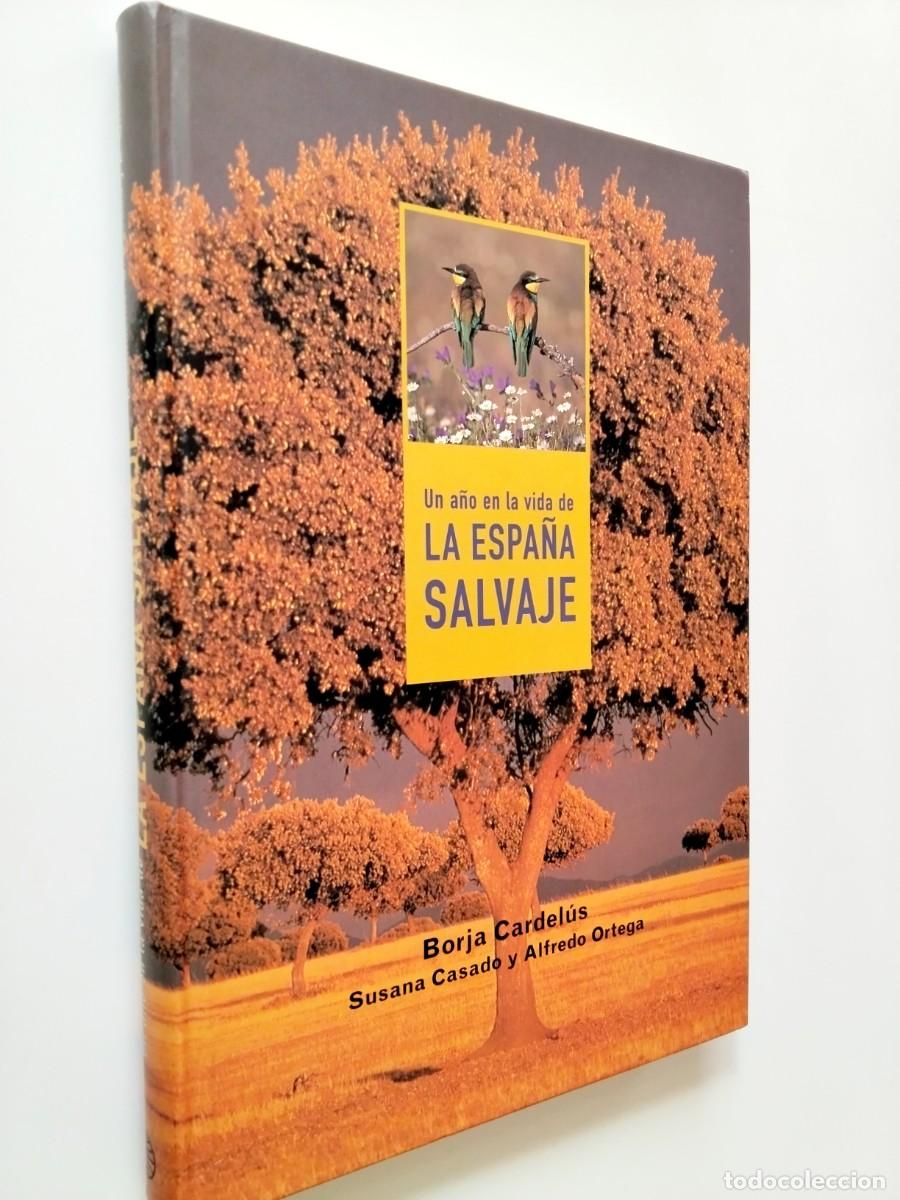 books: Borja Cardel&uacute;s, Susana Casado y Alfredo Ortega - Un a&ntilde;o en la vida de la Espa&ntilde;a salvaje