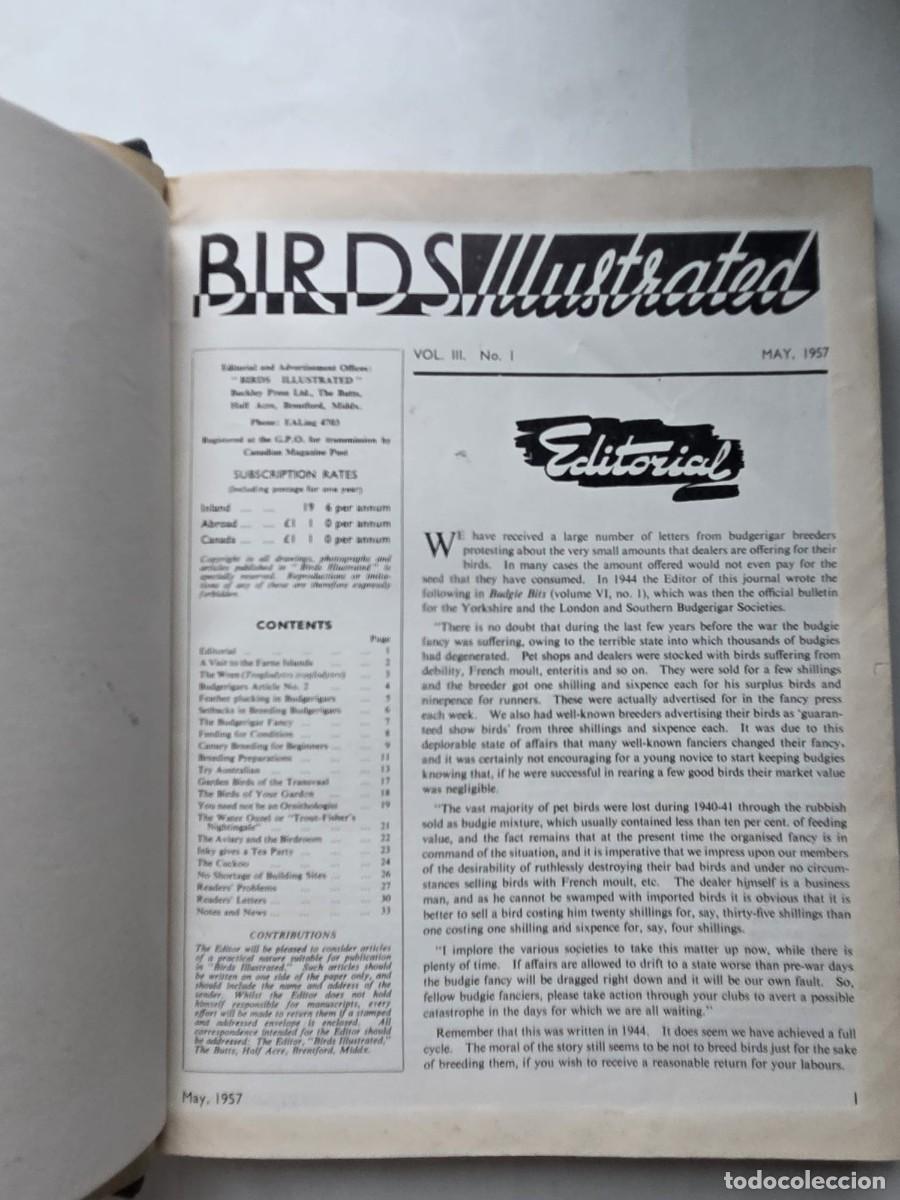 books: Birds Illustrated &mdash; Volume III Completo &mdash; 12 N&uacute;meros &mdash; 1957 - V&aacute;rios
