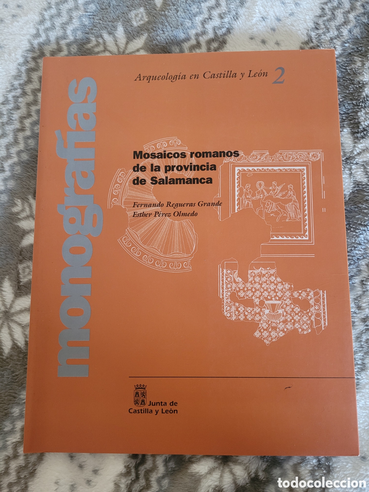 Libros: Mosaicos romanos en la provincia de Salamanca, Fernando Regueras y Esther P&eacute;rez Olmedo