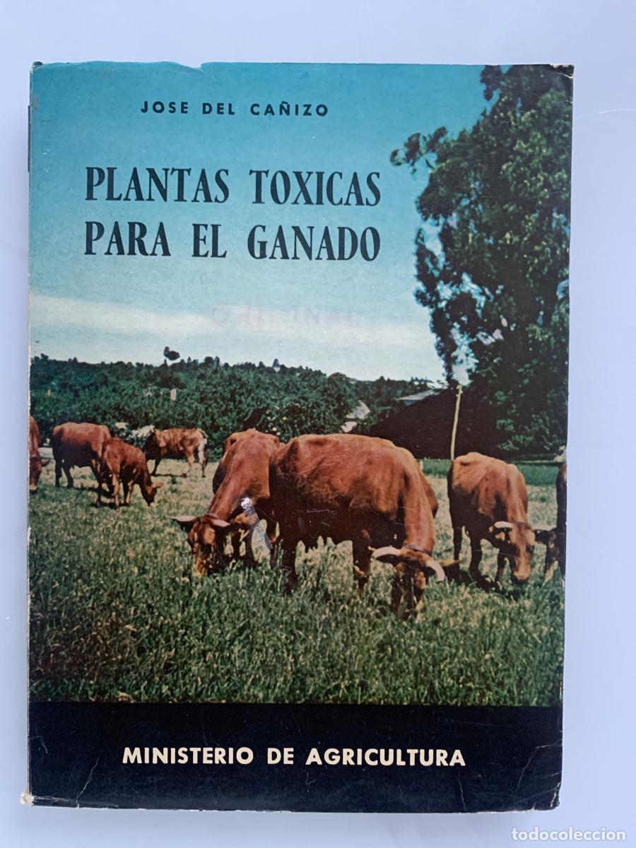 B&uuml;cher: PLANTAS T&Oacute;XICAS PARA EL GANADO EN PRADERAS Y PASTIZALES - Jos&eacute; del Ca&ntilde;izo y G&oacute;mez