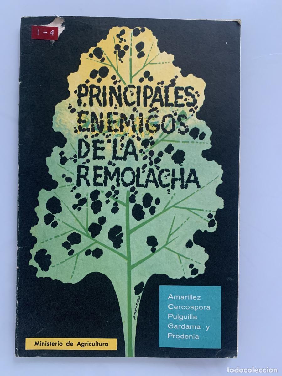 Libros: PRINCIPALES ENEMIGOS DE LA REMOLACHA (Amarillez, Cercospora, Pulguilla y Gardama y Prodenia) - Jos&eacute;
