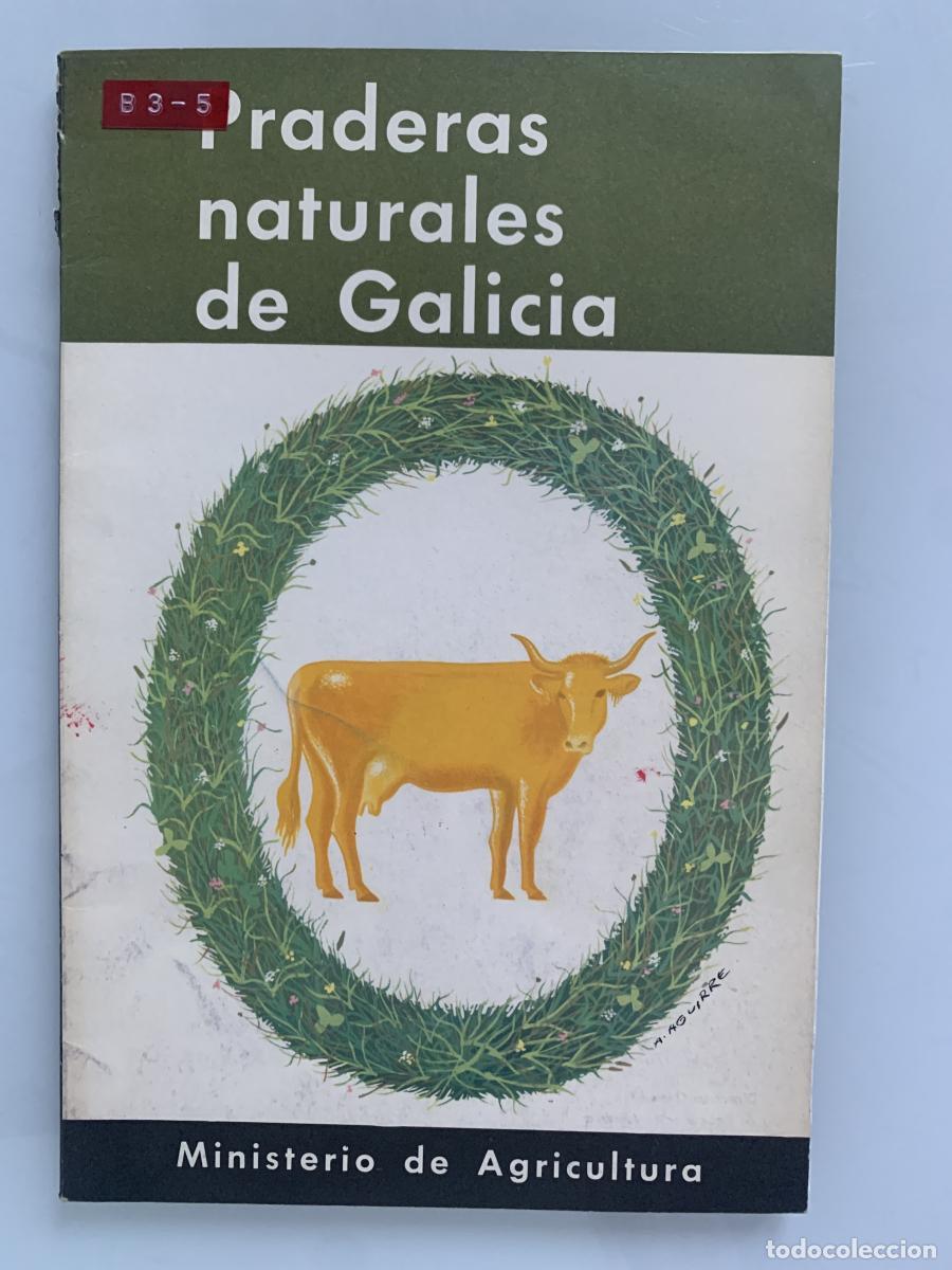 Libros: PRADERAS NATURALES DE GALICIA - Joaqu&iacute;n G. de Azcarate