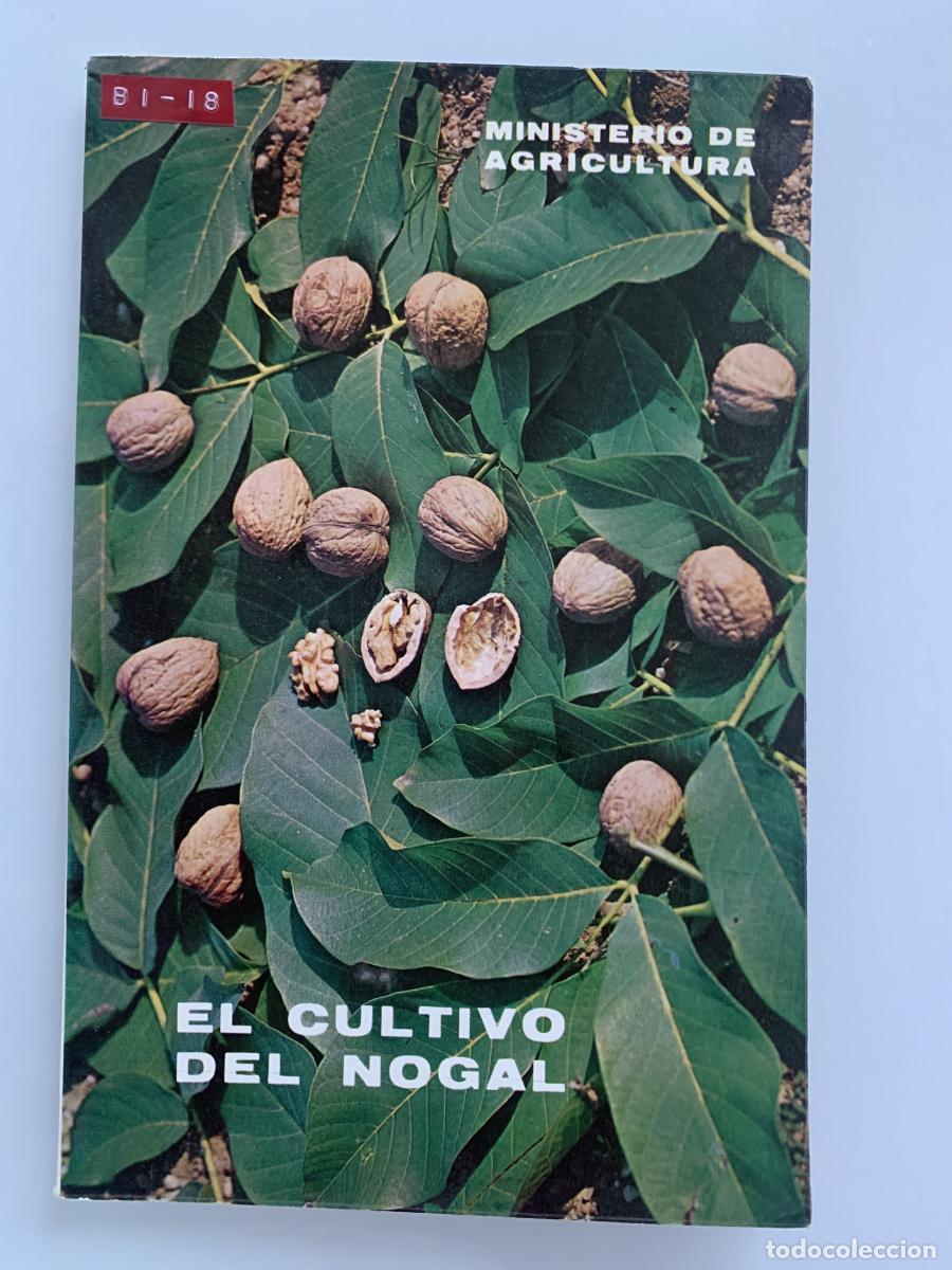 Libros: EL CULTIVO DEL NOGAL - Manuel P&eacute;rez Fern&aacute;ndez