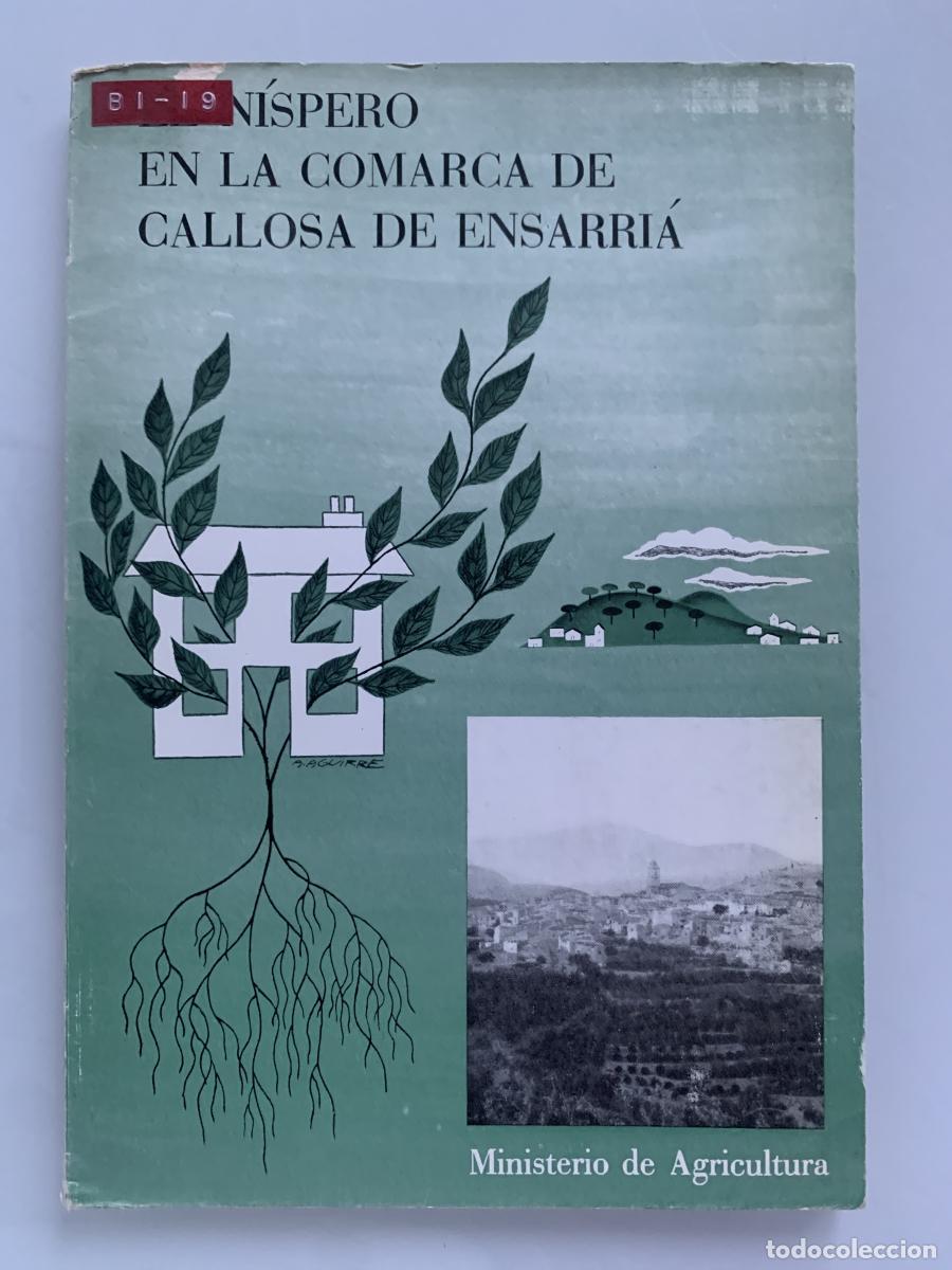 Libros: EL N&Iacute;SPERO EN LA COMARCA DE CALLOSA DE ENSARRI&Aacute; - Enrique Quinza Guerrero, &Aacute;ngel Rodr&iacute;guez P&eacute;rez, Sa