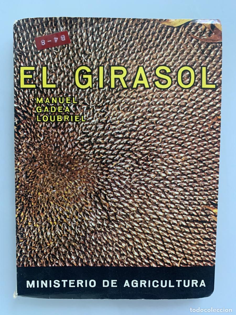 Libros: EL GIRASOL. Planta Industrial y Forrajera (segunda edici&oacute;n) - Manuel Gadea Loubriel