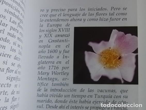 Libros: EL LENGUAJE DE LAS FLORES - LIBRO - MUY ILUSTRADO - Foto 3