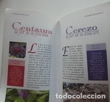 Libros: EL LENGUAJE DE LAS FLORES - LIBRO - MUY ILUSTRADO - Foto 4