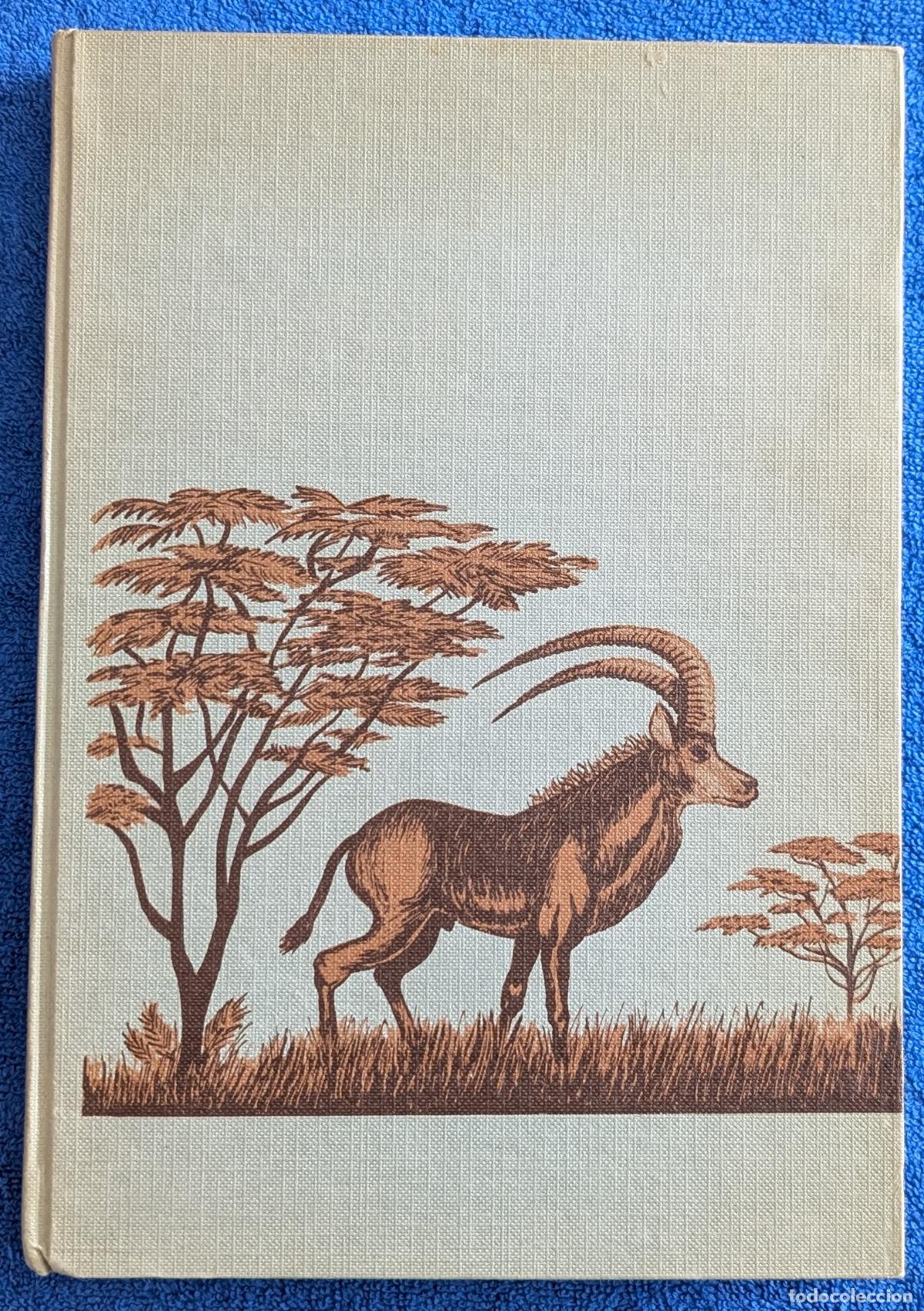 Libros: El ruido del silencio - Isabel Eguiguren (1976) - Foto 1