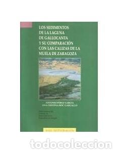 Livros em segunda m&atilde;o: LOS SEDIMENTOS DE LA LAGUNA DE GALLOCANTA Y SU COMPARACI&Oacute;N CON LAS CALIZAS DE LA MUELA DE ZARAGOZA -