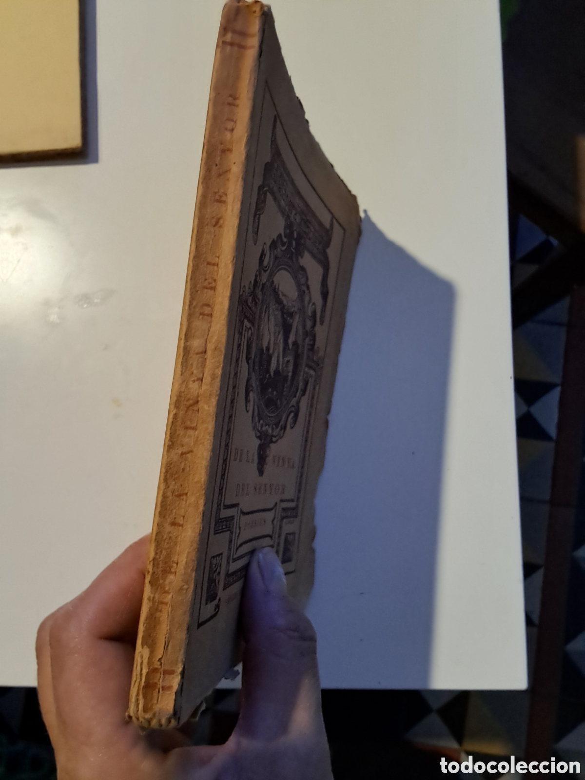 Libros: DE LA VINYA DEL SENYOR. J. Clapera i Soler. - Foto 2