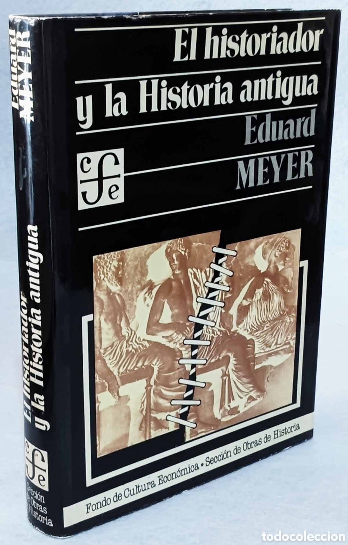 books: El historiador y la historia antigua