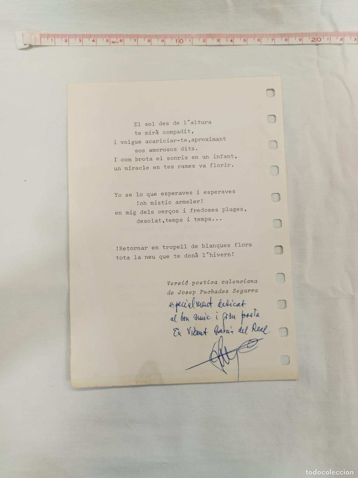 Libros: A UN ARMELER FLORIT. VERSI&Oacute; PO&Eacute;TICA DE JOSEP PUCHADES SEGARRA - Vicent Garcia del Real / Josep Pucha