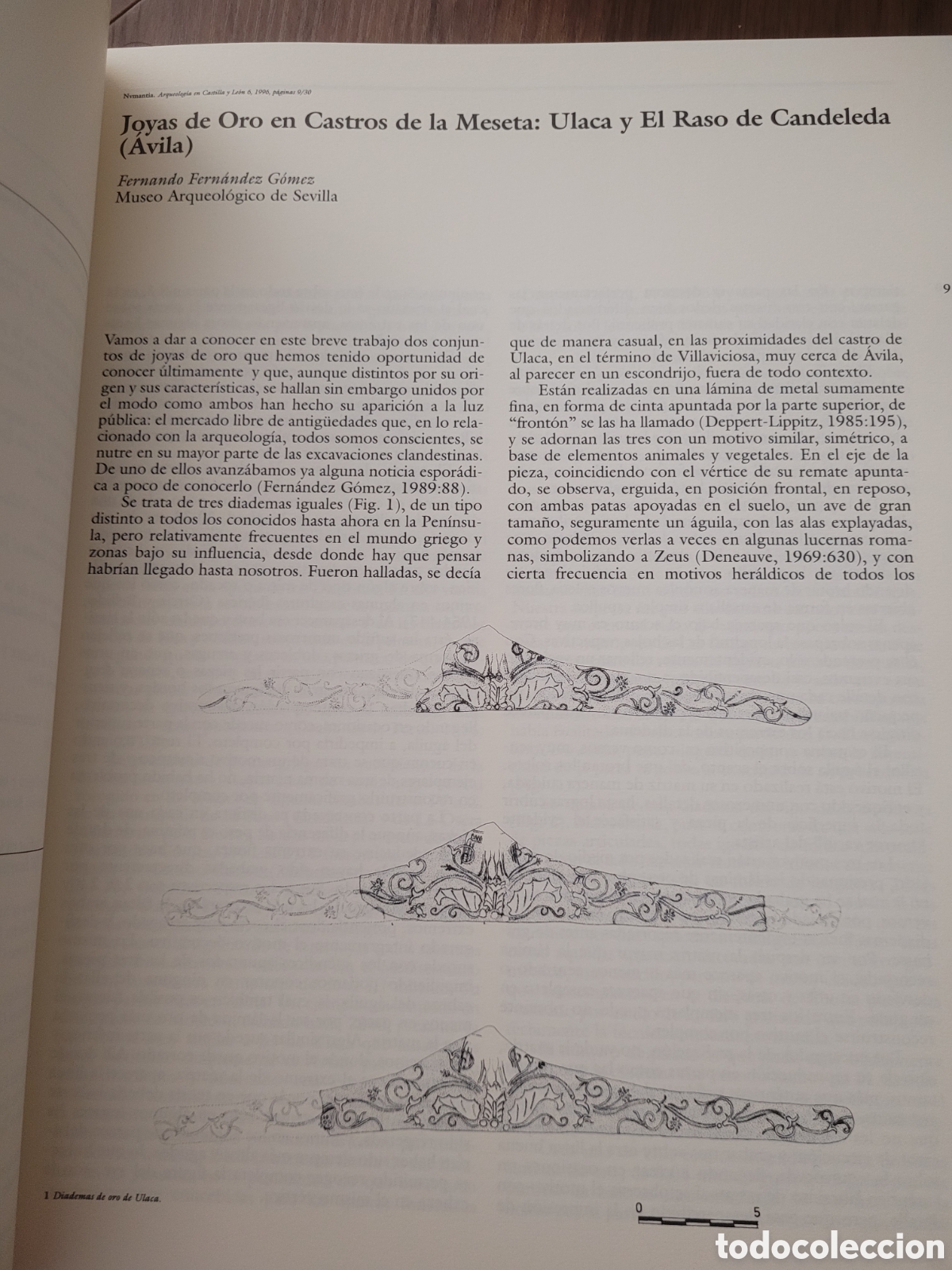 Libros: Numantia 6 arqueolog&iacute;a en Castilla y Le&oacute;n - Foto 3