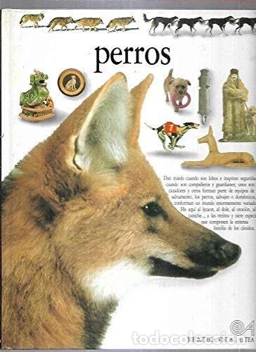 B&uuml;cher: Perros- 9788437237633