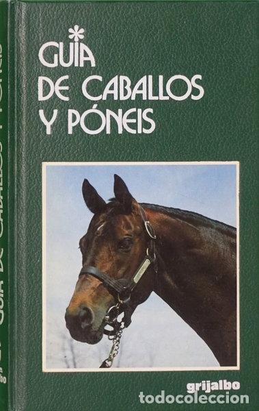 Libros: Gu&iacute;a de caballos y p&oacute;neis- 9788425320507 - Foto 1