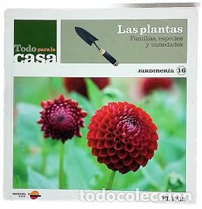 Libros: Las Plantas. Familias, especies y variedades - Bego&ntilde;a Grigelmo - 2006