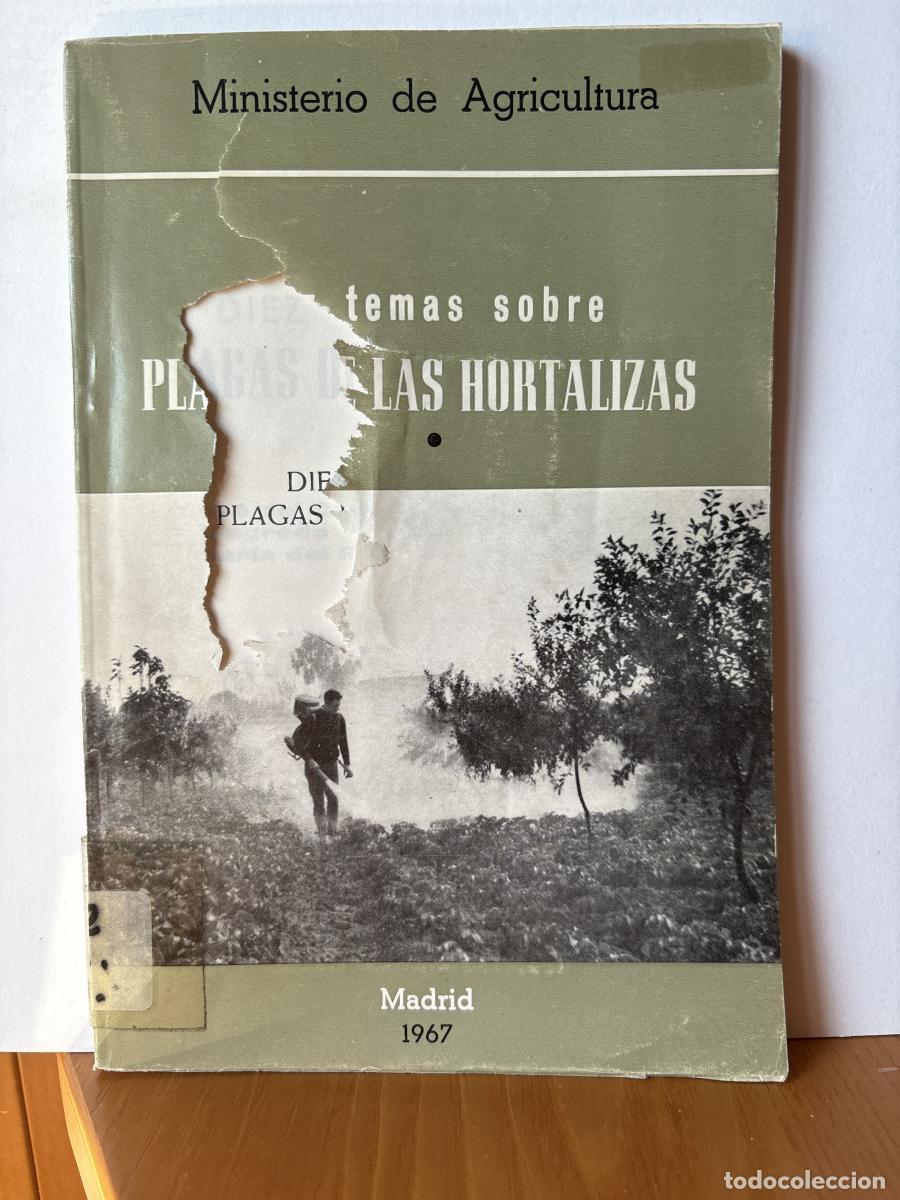 Libros: DIEZ TEMAS SOBRE PLAGAS DE LAS HORTALIZAS - JOSWE DEL CA&Ntilde;IZO, FERNANDO LOPEZ DE SAGREDO, SILVERIO PL