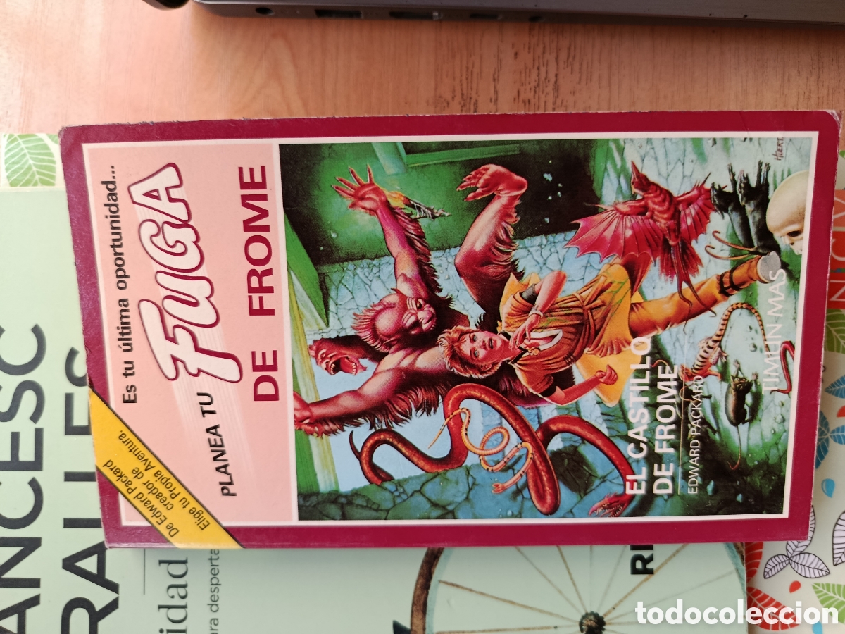 Libros: El castillo de Frome - Packard, Edward - Foto 1