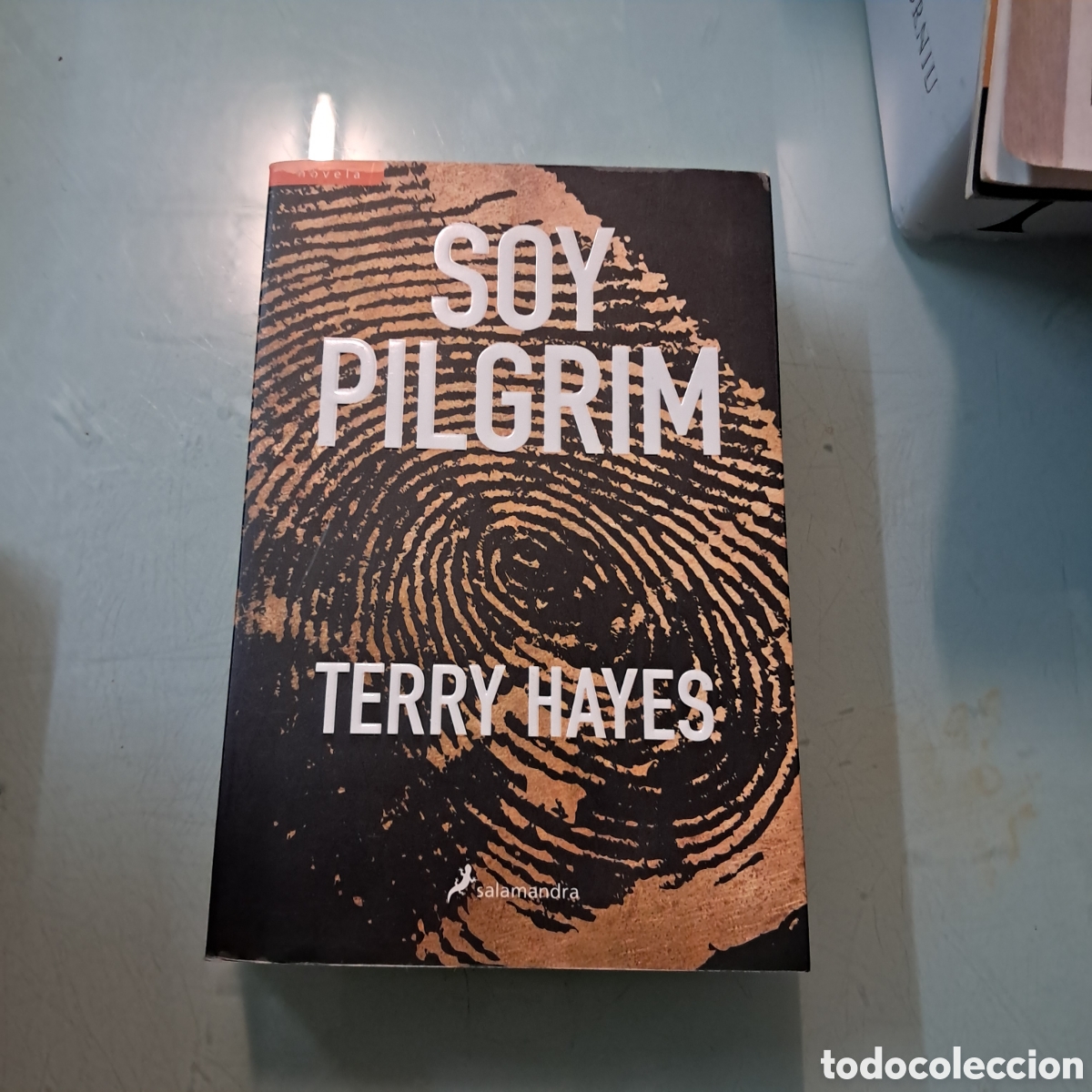 Livres: Terry Hayes, Soy Pilgrim, Salamandra