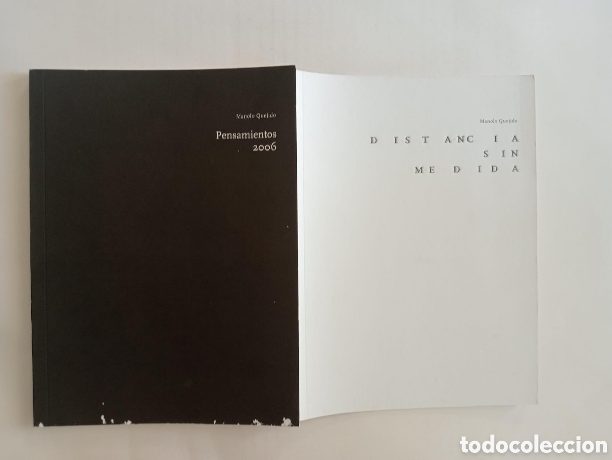 Libros: Distancia, sin medida. Pensamientos 2006. Manolo Quejido