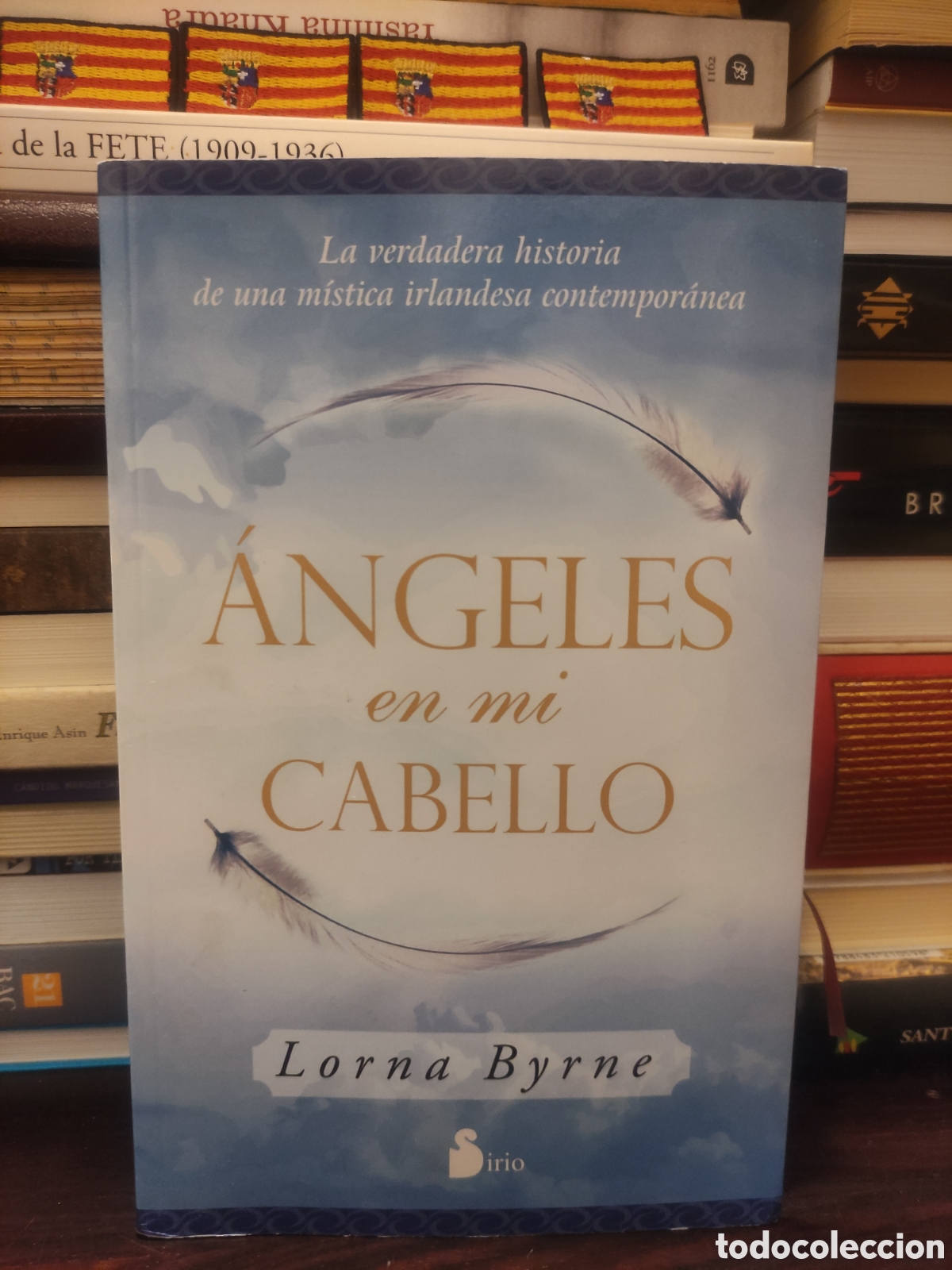 Libros: ANGELES en mi CABELLO - Lorna Byrne