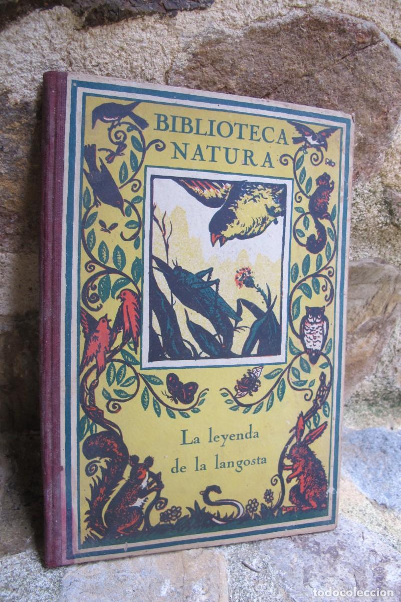 Livres: LA LEYENDA DE LA LANGOSTA. LA DULCE SALAMANDRA. MANUEL MARINEL.LO. DIBUJOS OPISSO BIBLIOTECA NATURA