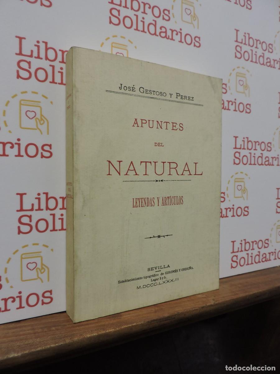 B&uuml;cher: Apuntes del natural. CESTOSO Y P&Eacute;REZ, Jos&eacute;. Edici&oacute;n Facs&iacute;mil. Sevilla, 1994