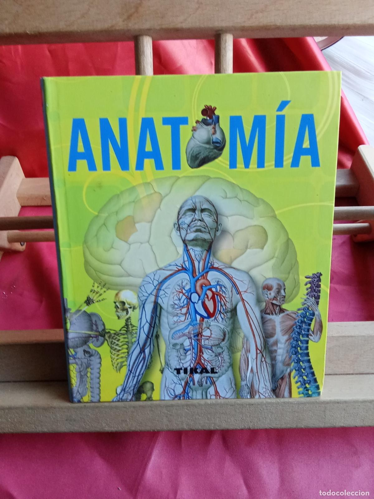 Libros: Anatom&iacute;a. Tikal L.12229-986 - Foto 1