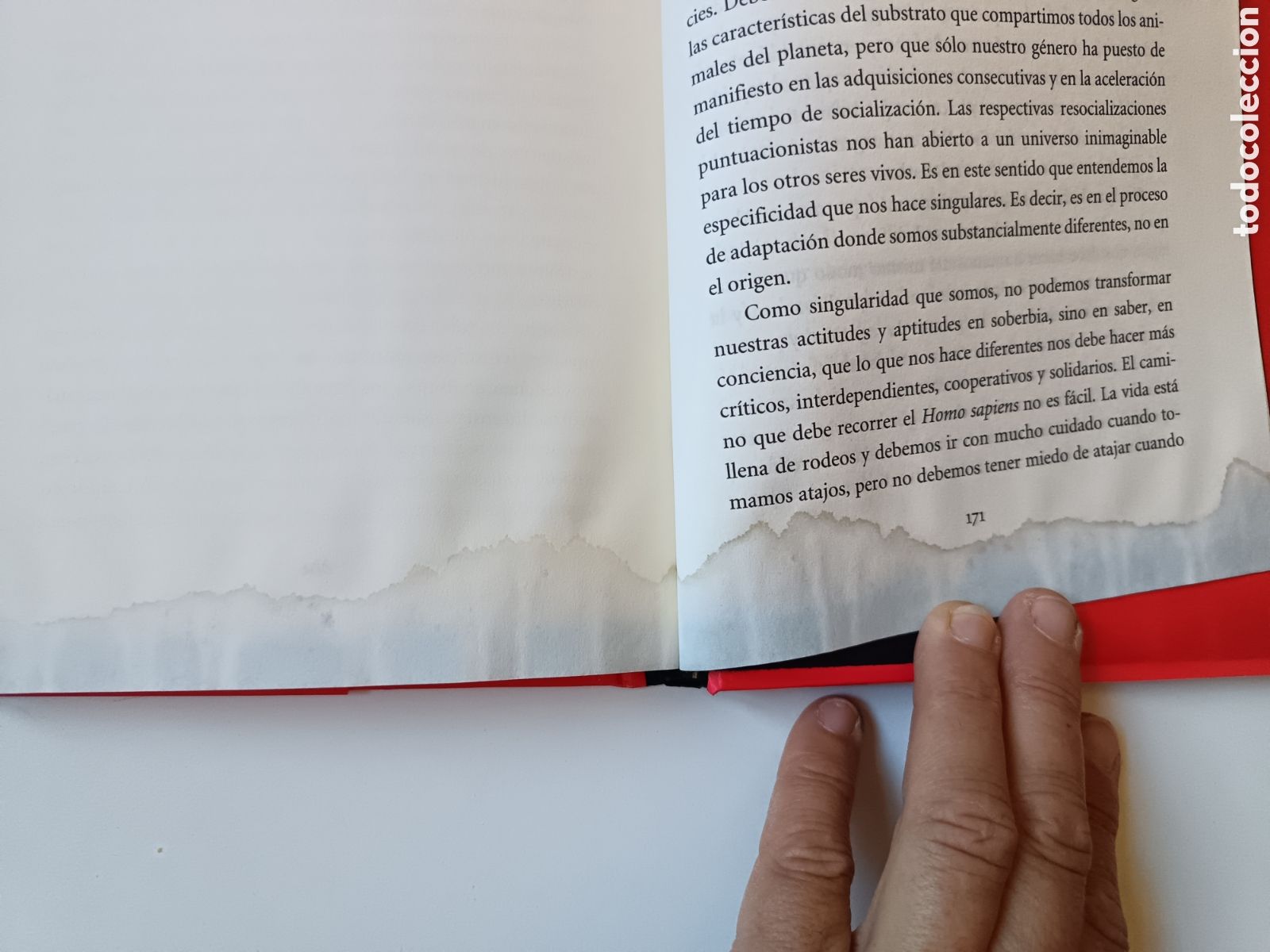 Libros: La conquista que quema, Eudald Carbonell, Now Books - Foto 5