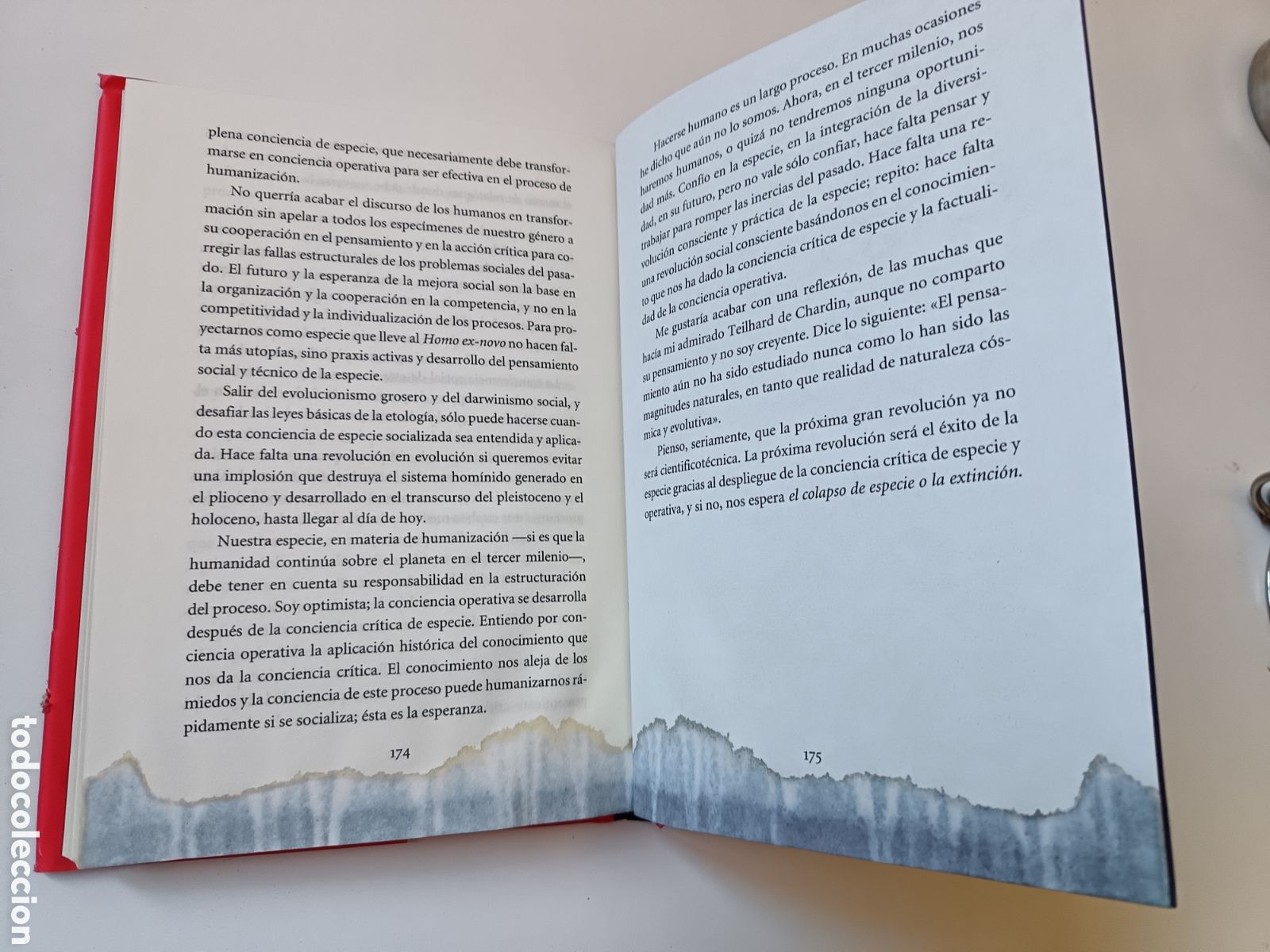 Libros: La conquista que quema, Eudald Carbonell, Now Books - Foto 6