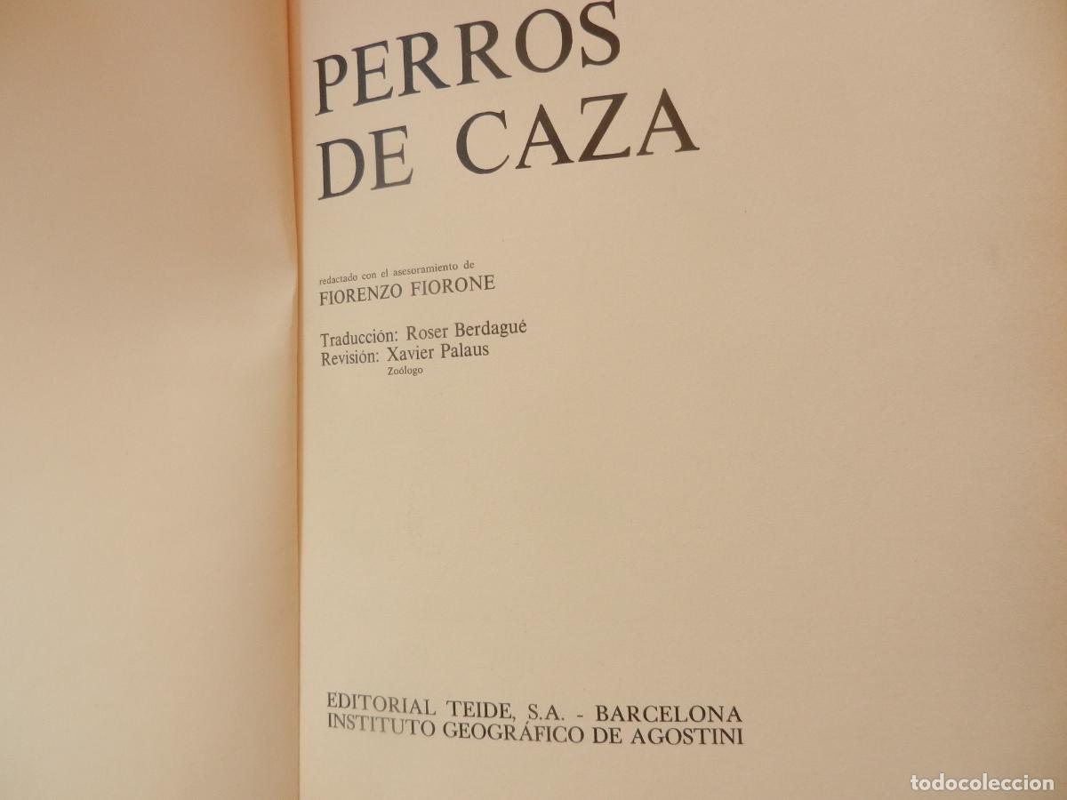 Libros: PERROS DE CAZA - DOCUMENTAL COLOR -EDITORIAL TEIDE 1974 - Foto 2