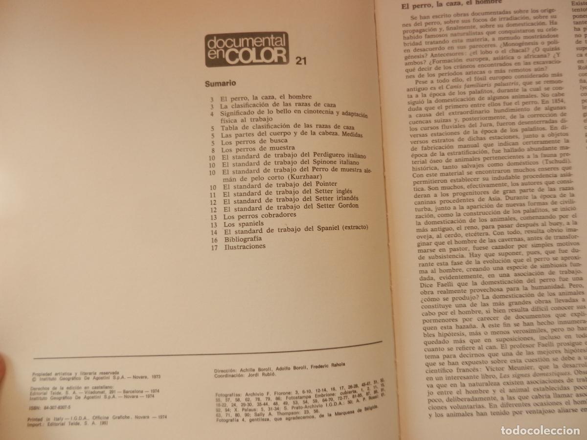 Libros: PERROS DE CAZA - DOCUMENTAL COLOR -EDITORIAL TEIDE 1974 - Foto 3