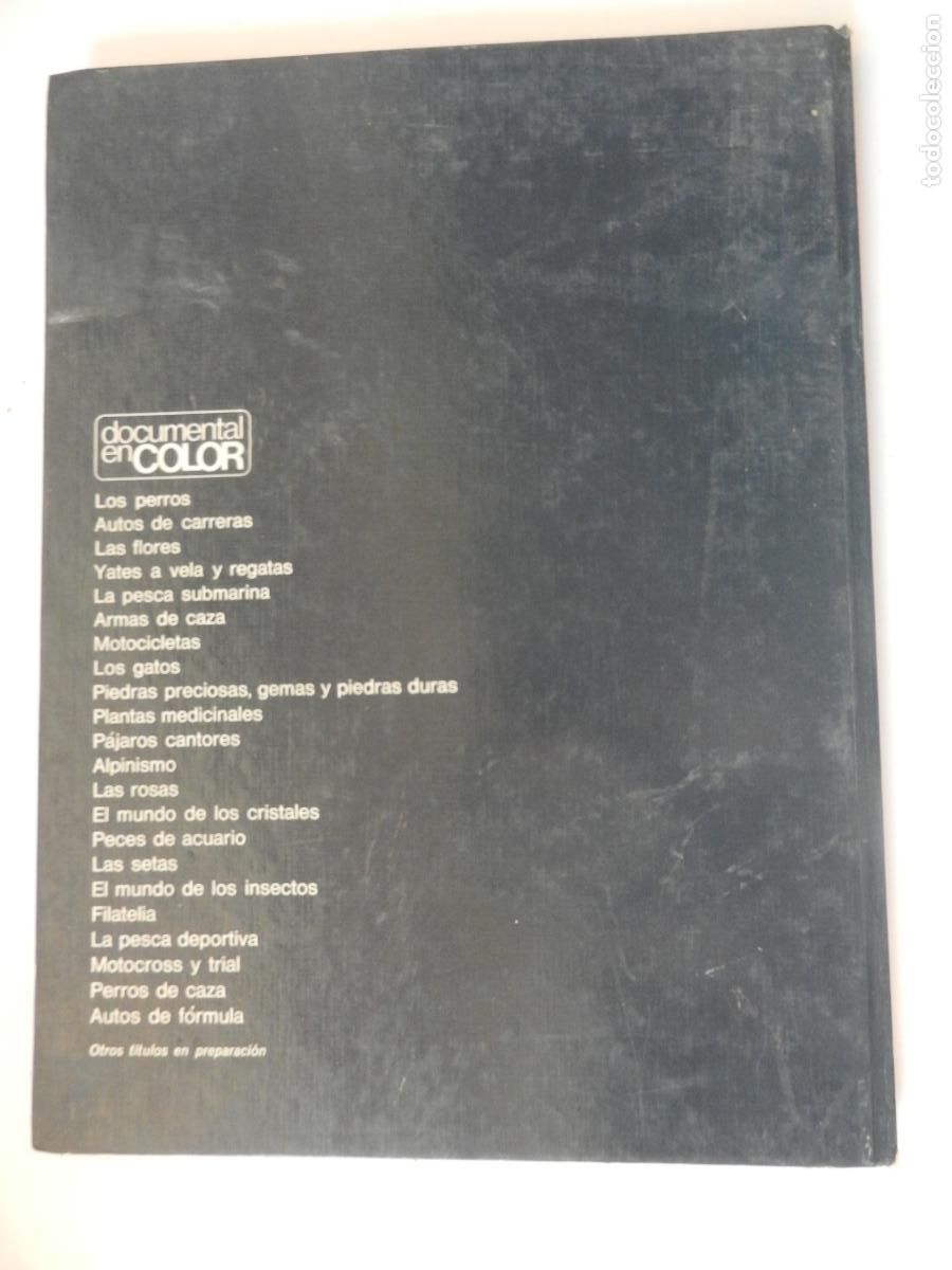 Libros: PERROS DE CAZA - DOCUMENTAL COLOR -EDITORIAL TEIDE 1974 - Foto 7