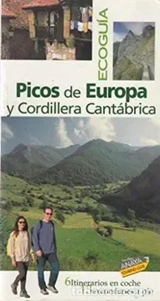 Libri di seconda mano: Picos de Europa y Cordillera Cant&aacute;brica- 9788481656152
